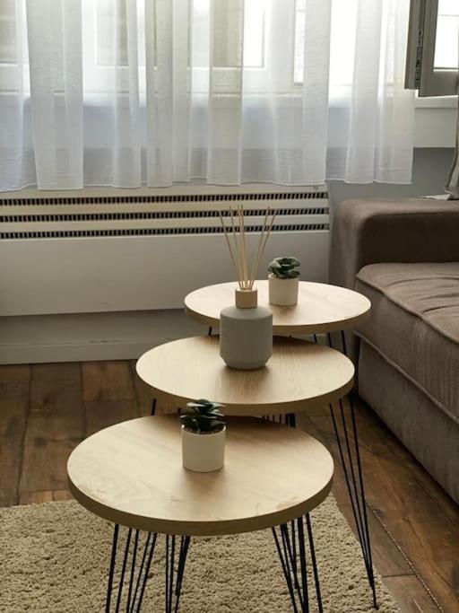 Apartment In Belgrade With Small Parking Space Eksteriør billede